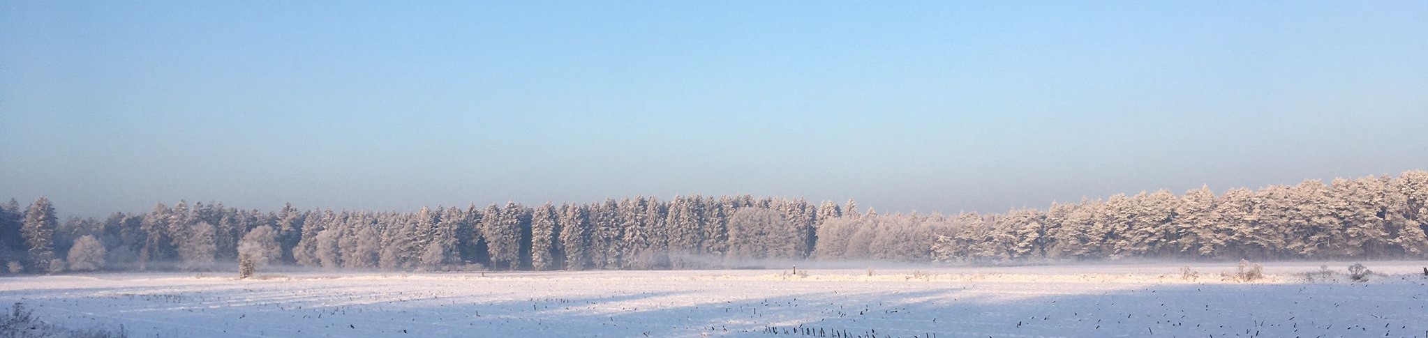 Panoramaaufnahme einer weiten Winterlandschaft bei hellem Tag. Im Vordergrund liegt eine weite, verschneite Fläche mit Schatten von Bäumen. Im Mittelgrund erstreckt sich eine dichte Baumreihe, deren Nadelbäume mit Raureif oder Schnee bedeckt sind und so eine weiße, frostige Kante bilden, die von dunstigem Himmel darüber abgesetzt ist.